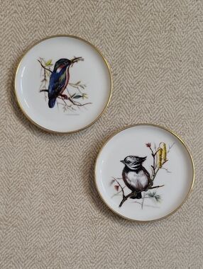 Rare Vintage AK Kaiser Germany Kingfisher Porcelain Coasters Gold Trim Set